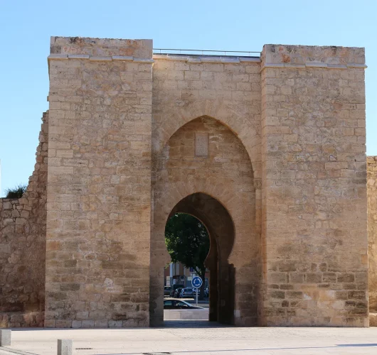 IMG_1821 1-convertido-de-png