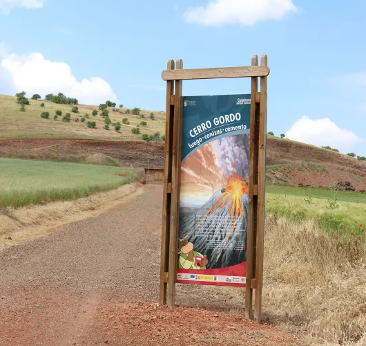 IMG_8661 1-convertido-de-png