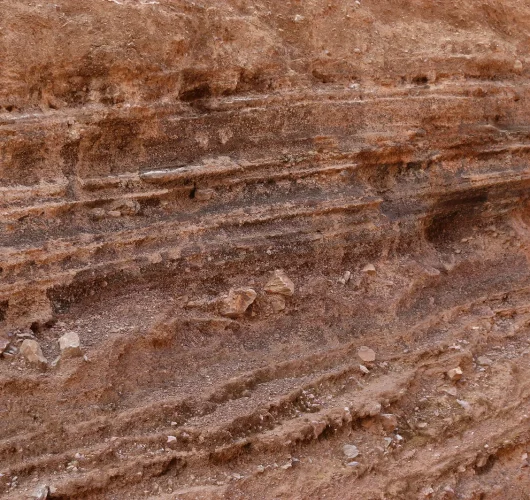 IMG_8686 1-convertido-de-png