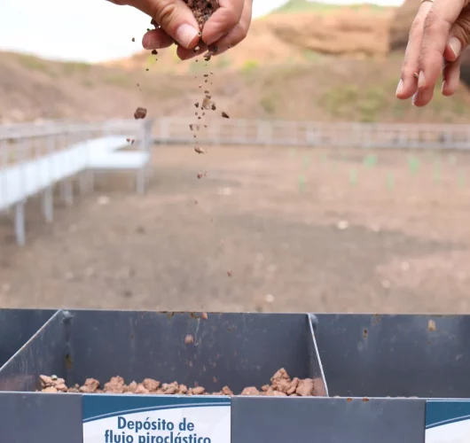 IMG_8710 1-convertido-de-png