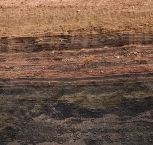 IMG_8718 1-convertido-de-png