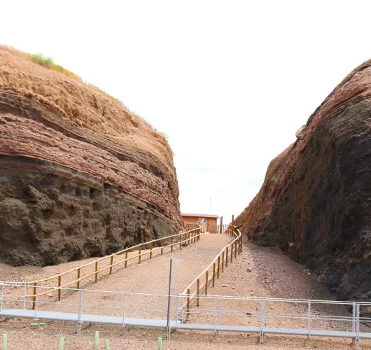 IMG_8729 1-convertido-de-png